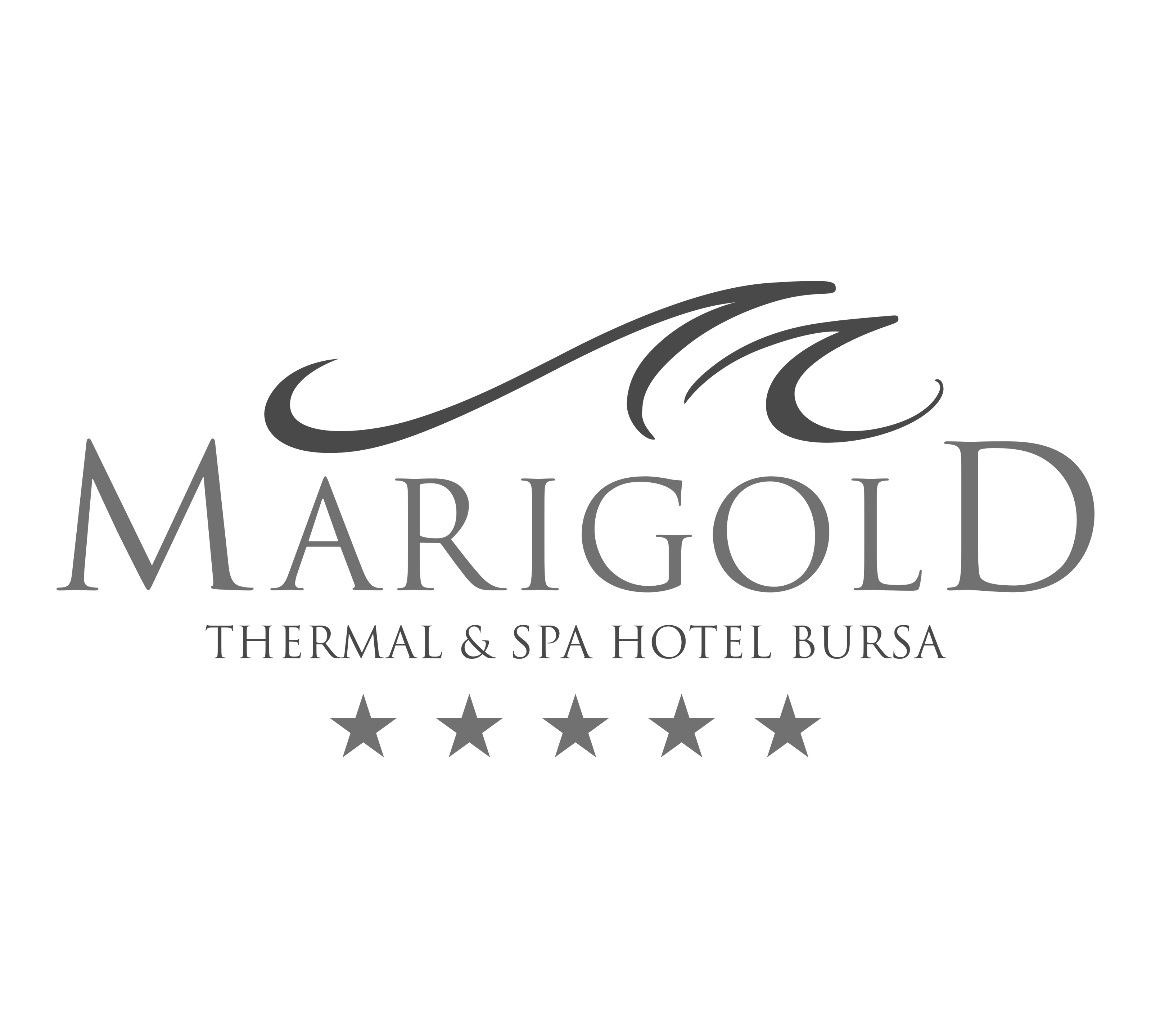 Marigold Thermal & SPA Hotel Bursa